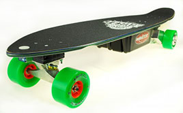 Electric Skateboard Longboard